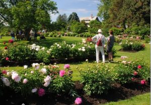 People enjoying colorful flower beds at tge Ornamental Gardens at the Central Experimantal Farm