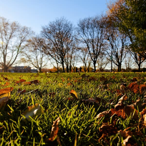 Fall Lawn Care Seminar