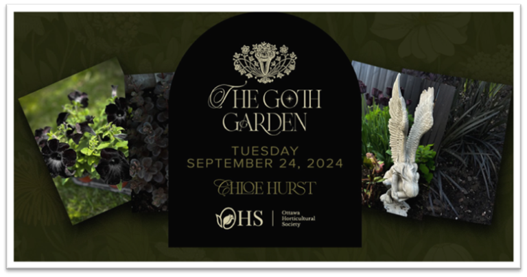 The Goth Garden with Chloe Hurst