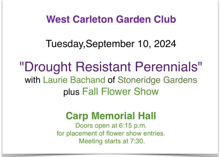 “Drought Resistant Perennials” with Laurie Bachand of Stoneridge Gardens