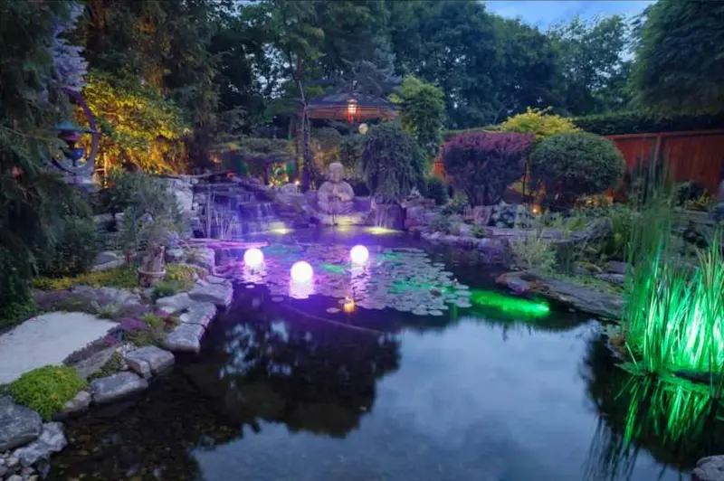 A pond light up at night for dramatic effect