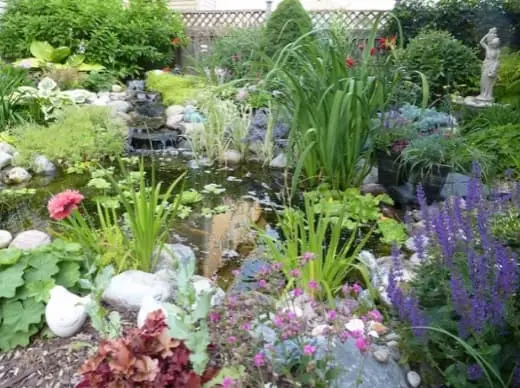 Many colorful plants around a pond