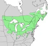 Map of the natural range of the Black Ash Tree