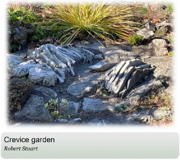 A crevice garden with various types of stones and grasses