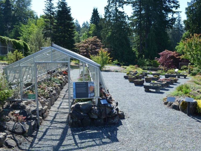 Lohbrunner Alpine Garden in the UBC Botanical Garden