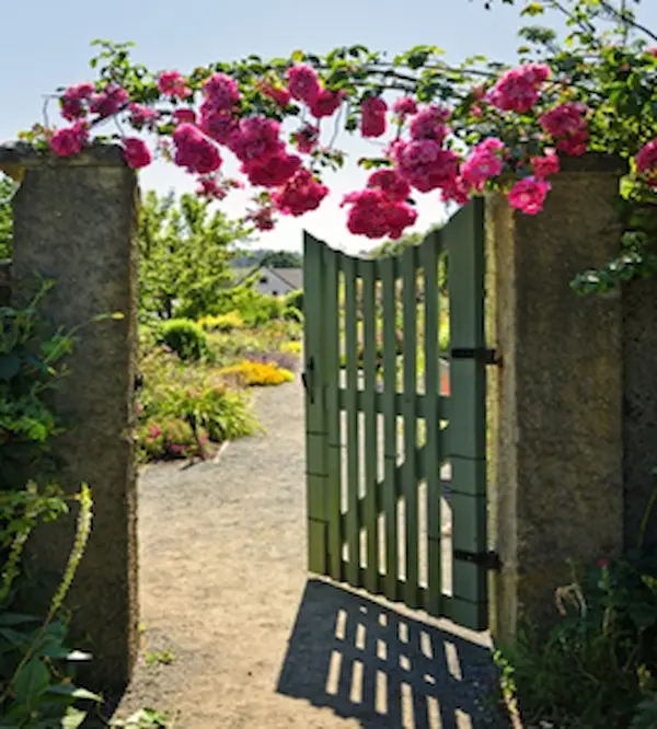 Buffalo Garden Festival Tour