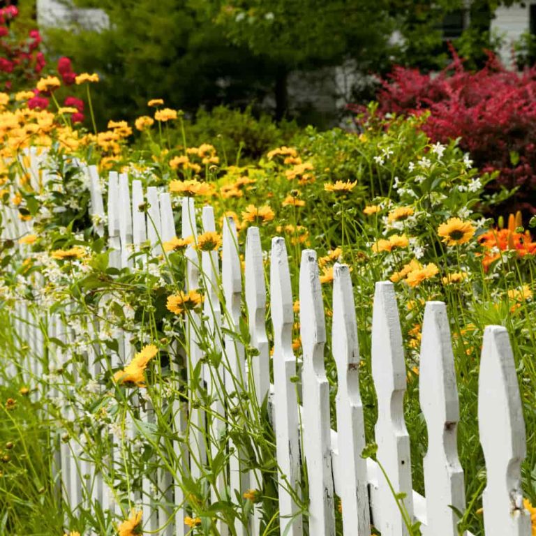 Free Nature-focused Garden Design Seminar