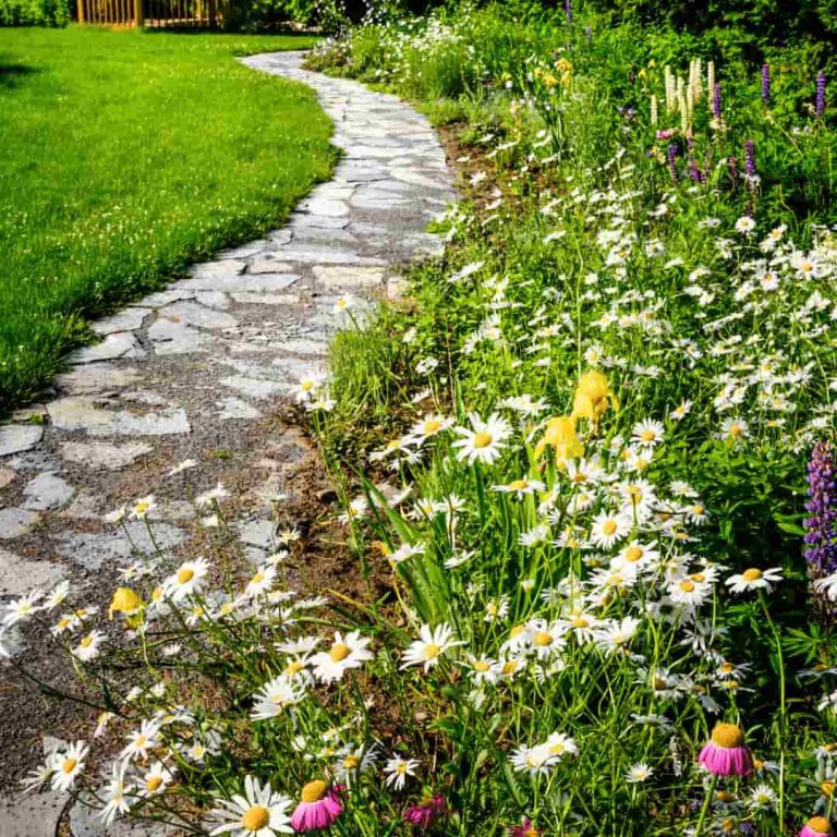 A stone path separates a lawn from a flowerbed