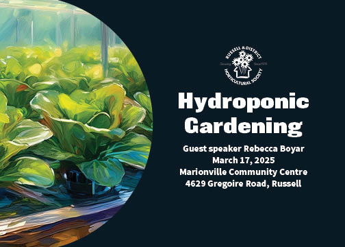 Grow Like A Pro – Hydroponic Gardening