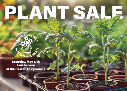 Plant Sale