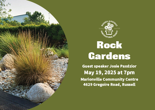 Rock Gardens