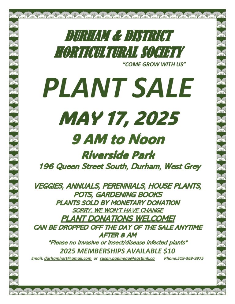 Plant Sale