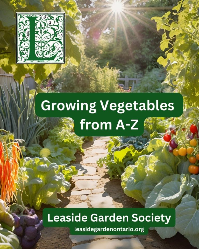 Growing Vegetables, From A-Z: The Basics of Vegetable Growing