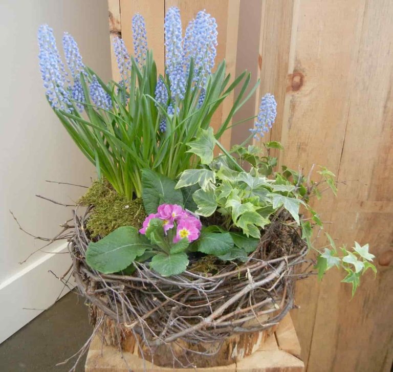 Easter Planter Workshop