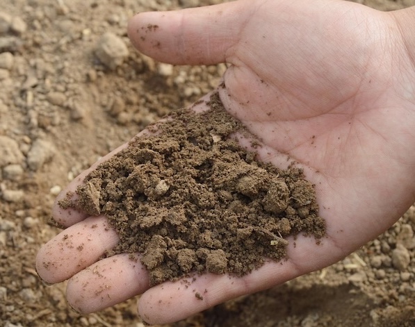 Improving Garden Soil Health