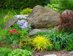 Perennials Garden Tour