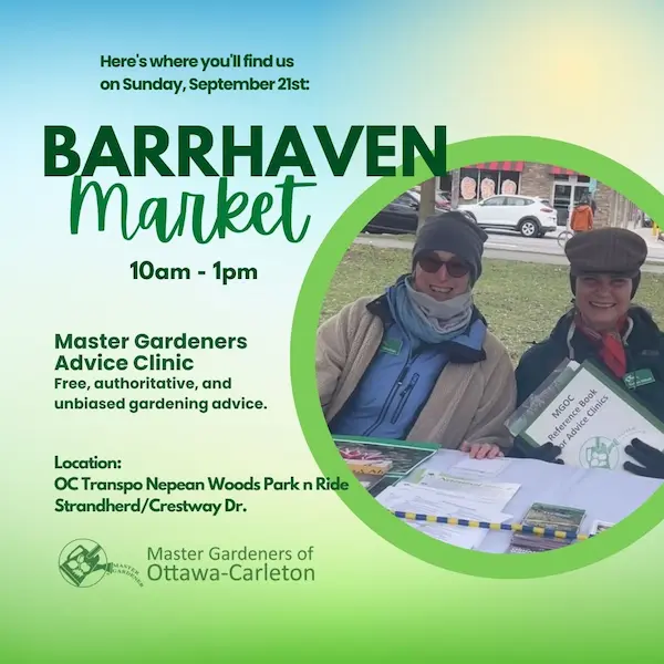 Advice Clinic at Barrhaven Market