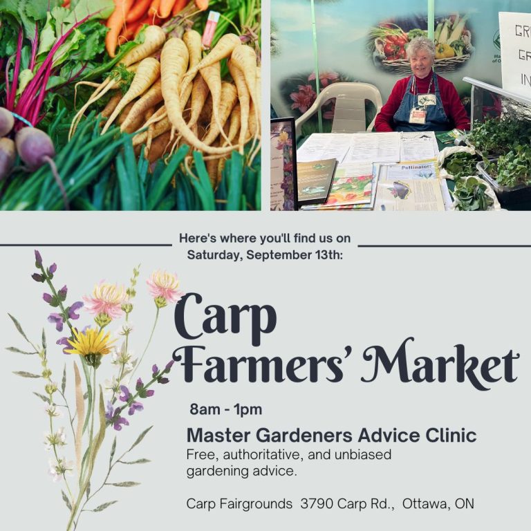 Advice Clinic at Carp Farmers’ Market