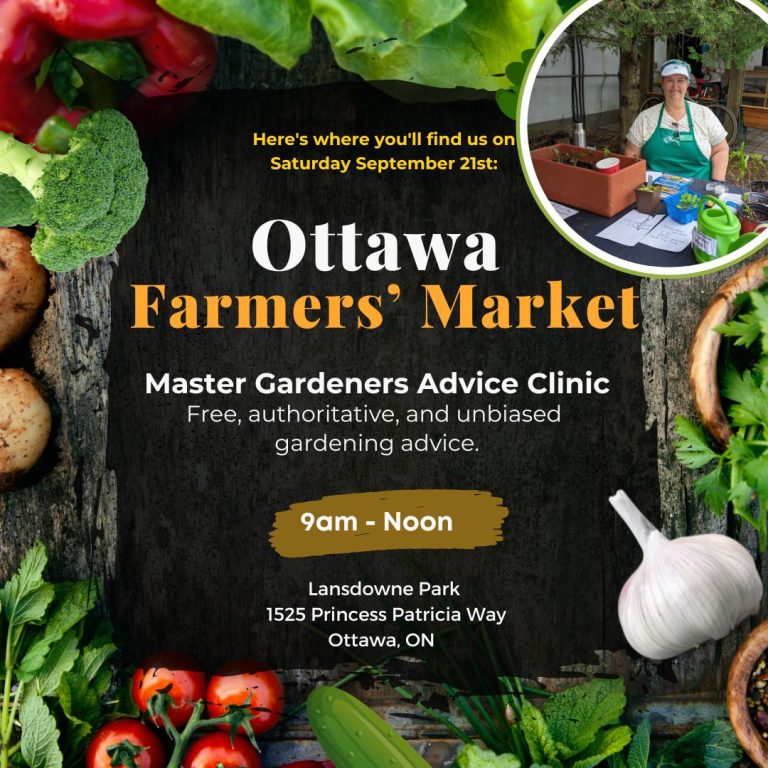Advice Clinic at Ottawa Farmers’ Market