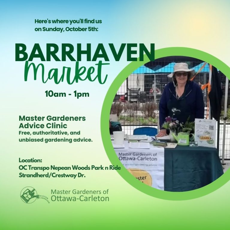 Advice Clinic at Barrhaven Market
