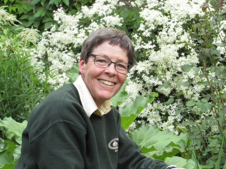 How is Your Garden Doing as the Gardening Season Comes to an End?