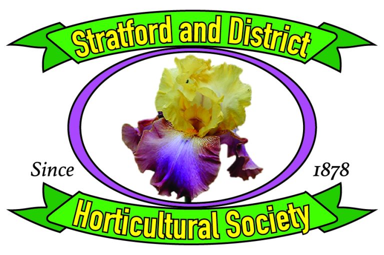 Under Our Feet, the World of Culinary Mushrooms