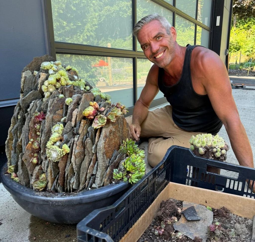 Creating a crevice garden for the smallest of spaces