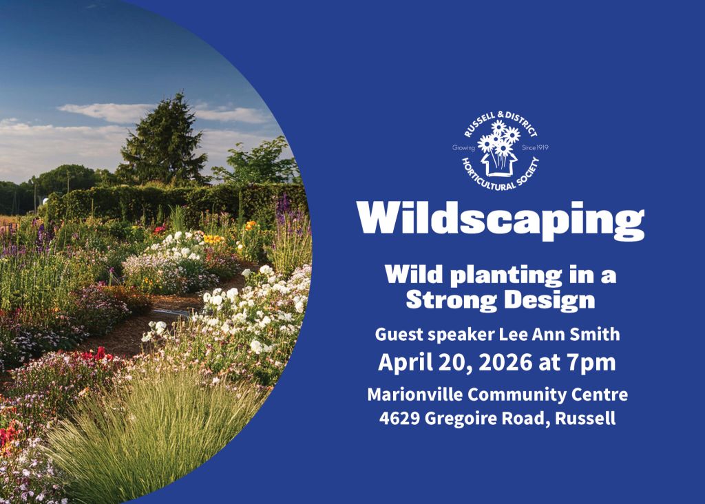 Russell & District: Wildscaping