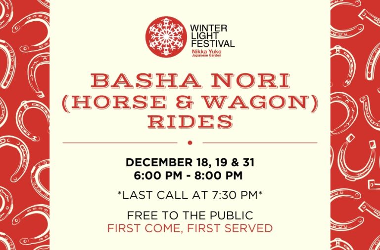 Basha Nori (Horse & Wagon) Rides