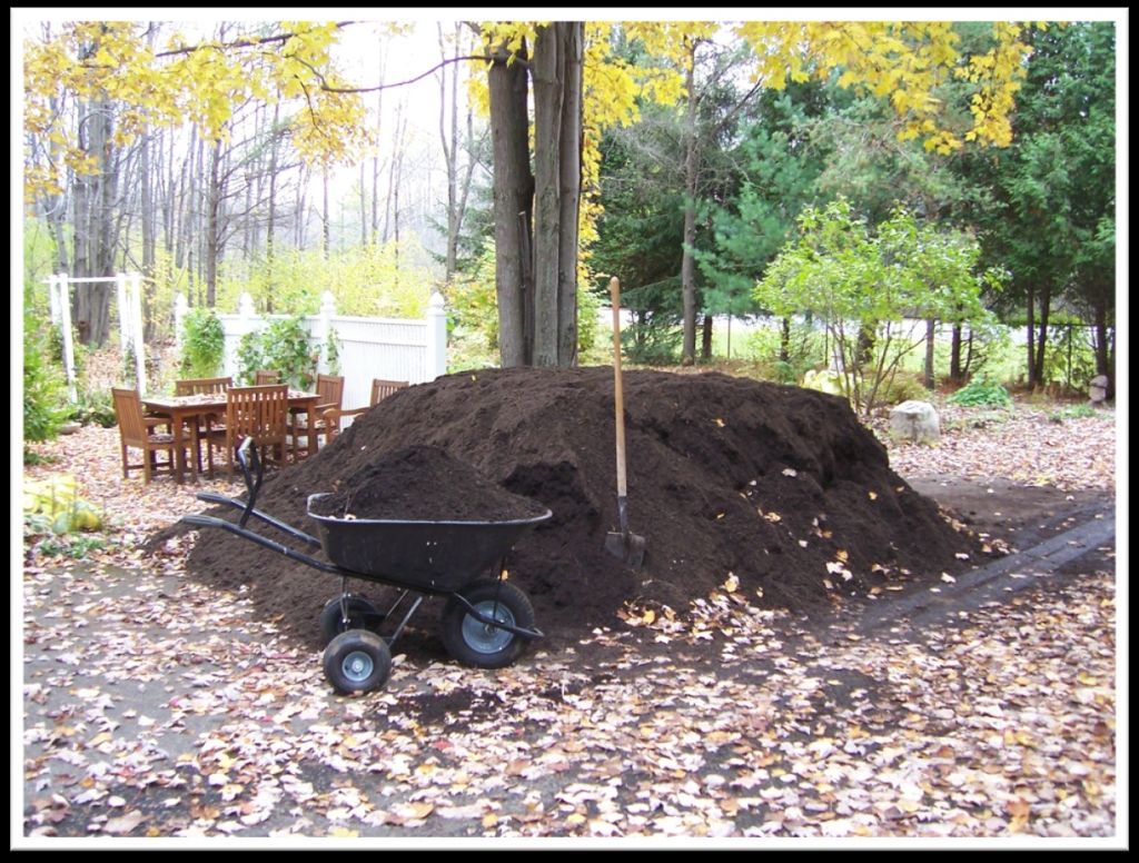 Soil – Don’t Call it Dirt!