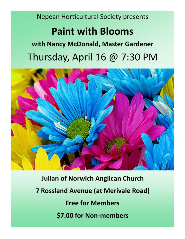 Paint with Blooms