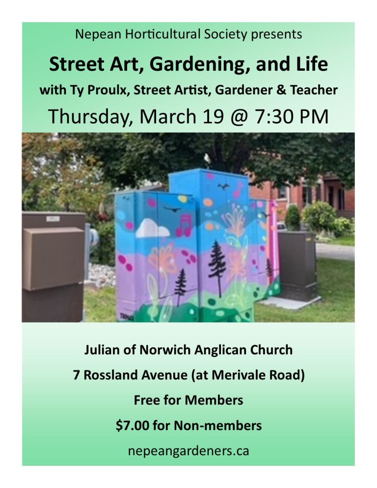 Street Art, Gardening, and Life