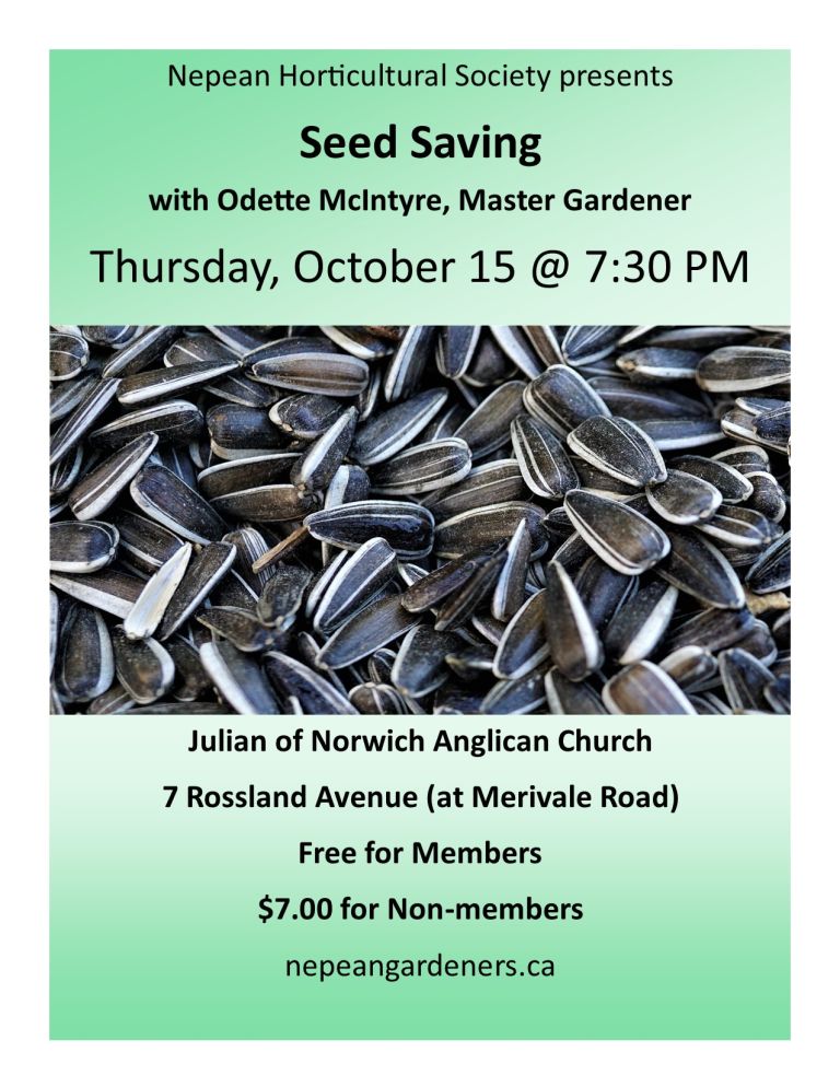 Seed Saving