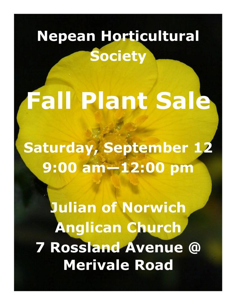 NHS Outdoor Fall Plant Sale