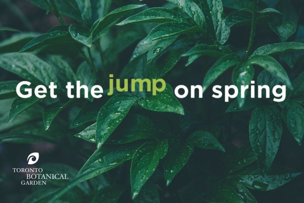 Get the Jump on Spring 2026