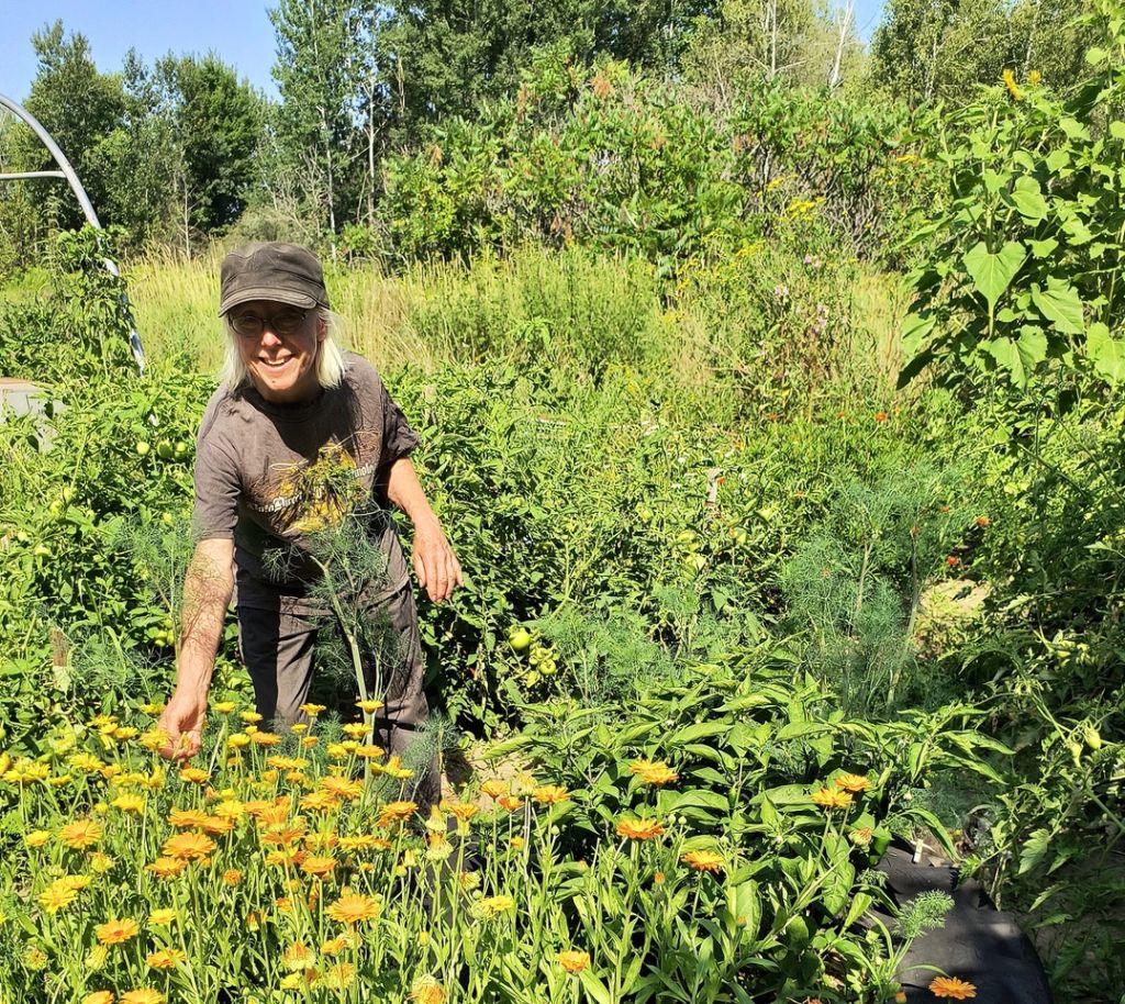 Organic Gardening for the Home Gardener: On-line presentation by Pat Lucey, Gardening  Instructor, Canadian Organic Growers