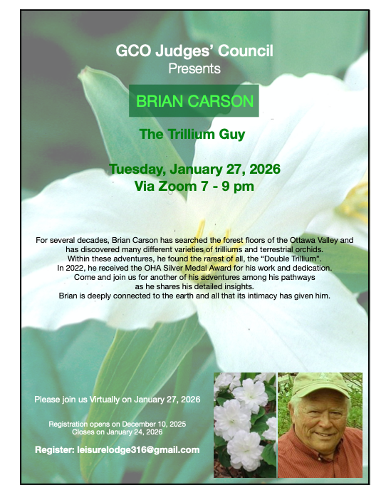 GCO Judges council Brian Carson Talk