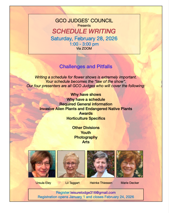 GCO Judges council Schedule Writing