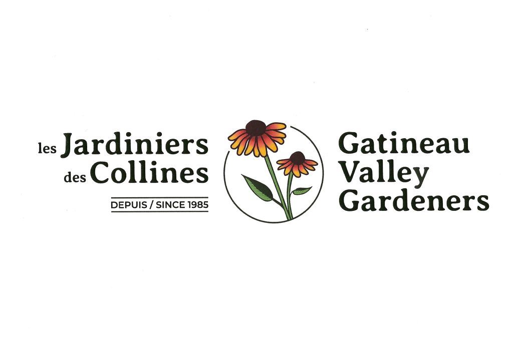 Medicinal Plants of Canada