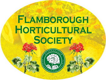 Hear Helen Battersby Jan 21st at 7 PM Via ZOOM