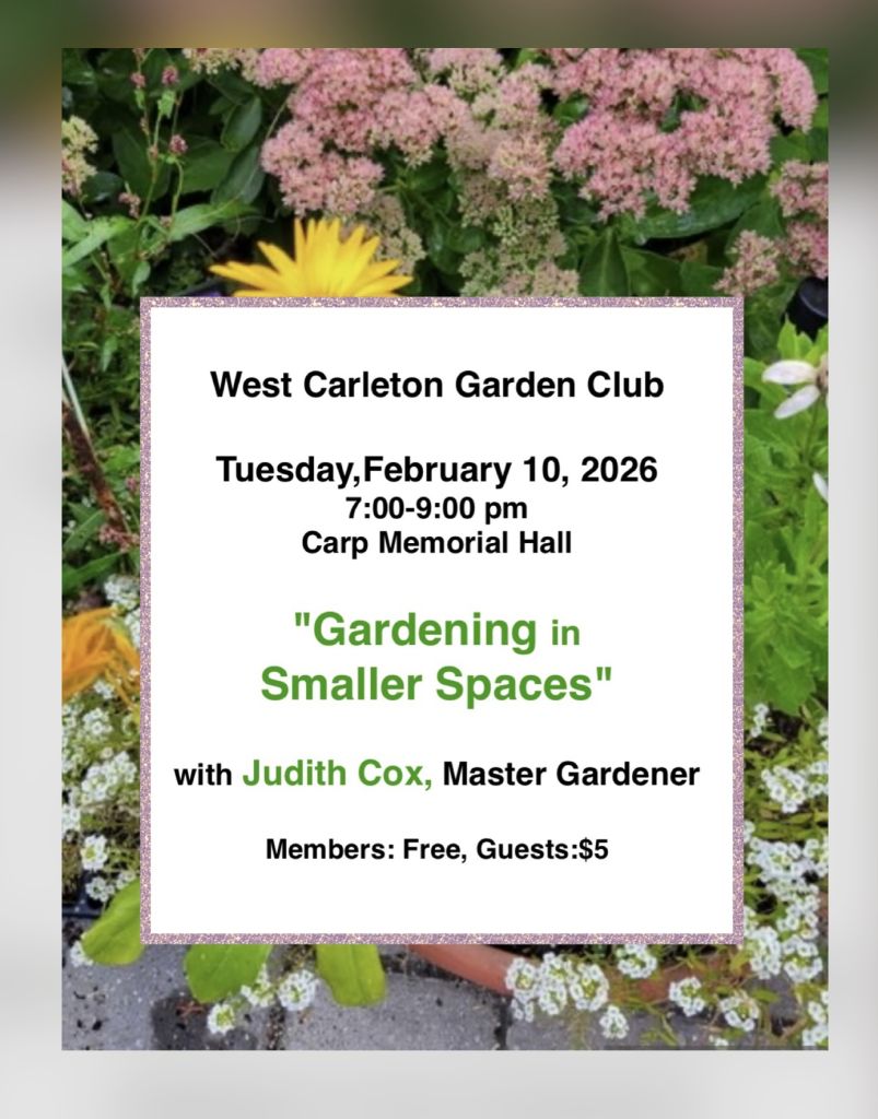 Gardening in Smaller Spaces