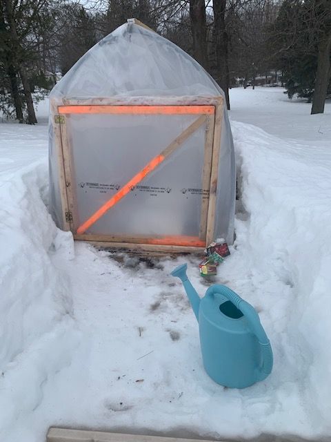 Cold Frames and Cold Crops: Extending the Season