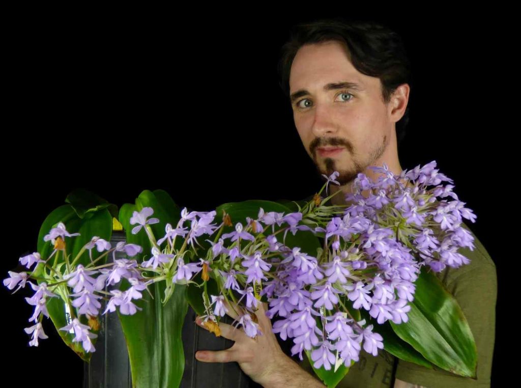 Ottawa Orchid February Meeting