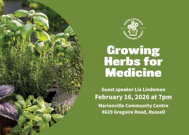 Russell & District: Growing Herbs for Medicine