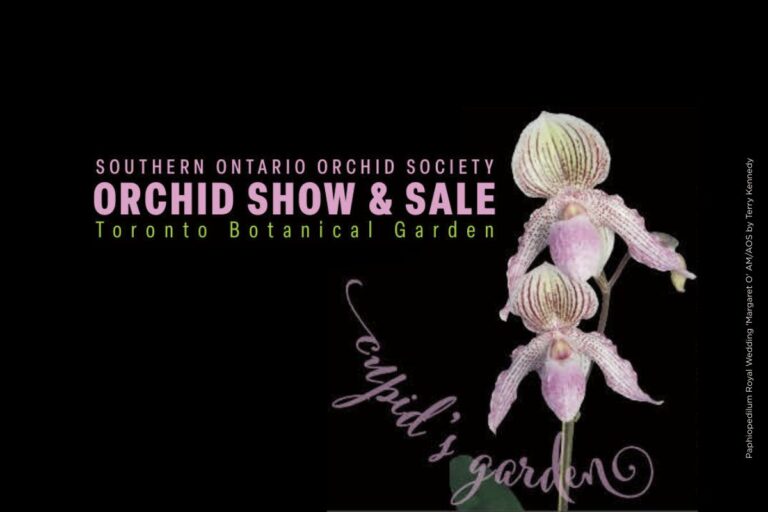 SOOS Orchid Show & Sale