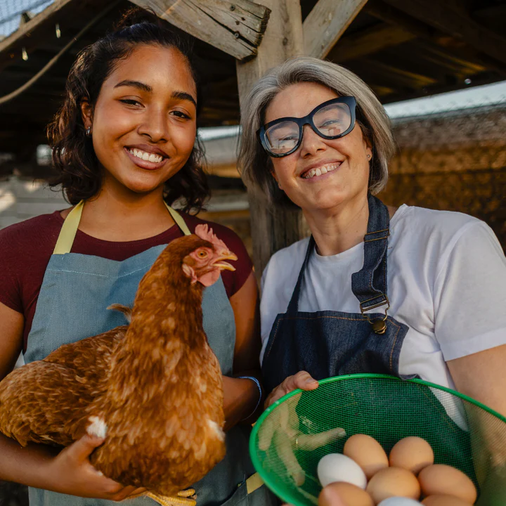 FREE Chickens 101 Seminar [WINDMILL LANE]