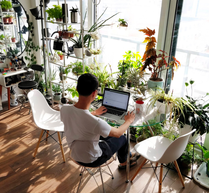 Gloucester Horticultural Society February topic: An Engineers Guide to Houseplants