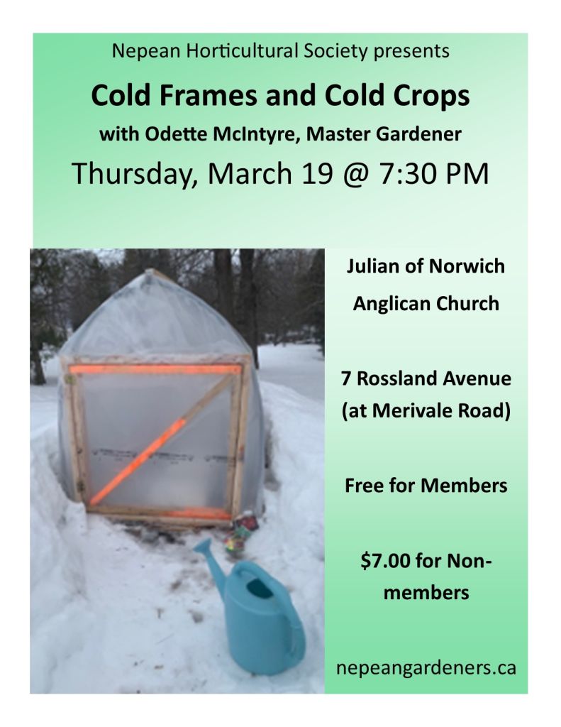 Cold Frames and Cold Crops