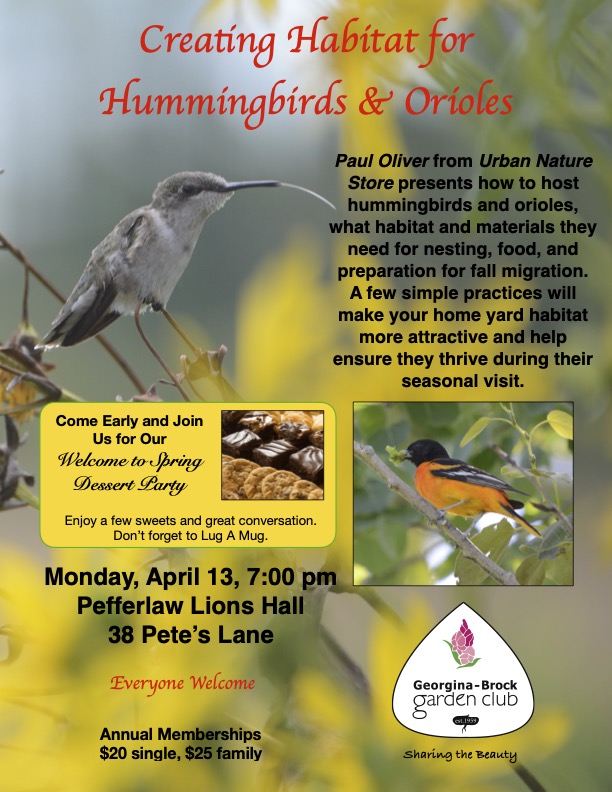 Creating Habitat for Hummingbirds & Orioles