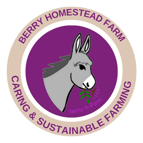 Gardening by the Moon in 2026 During the Summer Season